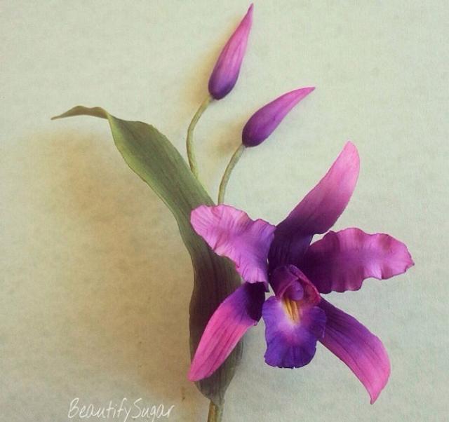 Orchids - Decorated Cake by Audrey - CakesDecor