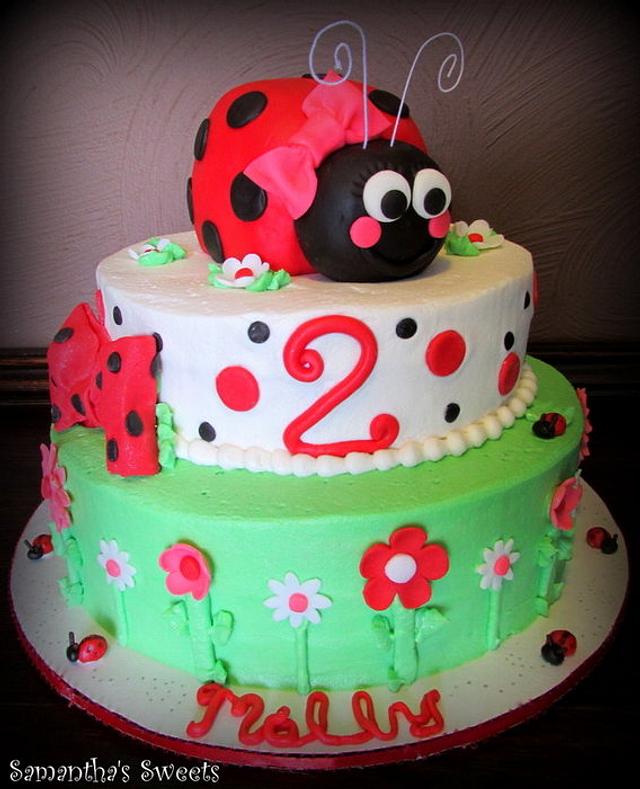 Ladybug Birthday Cake - Decorated Cake by Samantha Eyth - CakesDecor