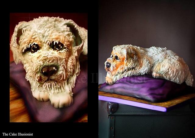Wire Haired Jack Russell Dog Cake By Hannah Cakesdecor