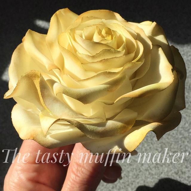 Single tier Vintage Rose wedding cake