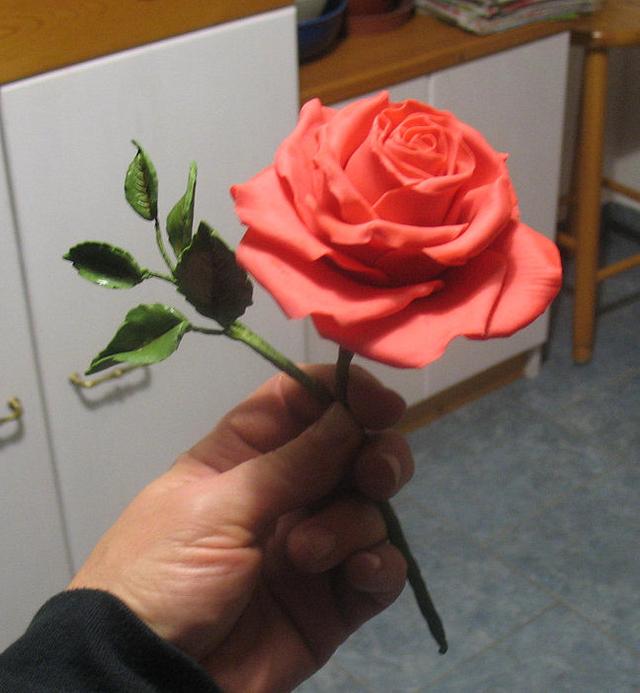 My first rose on wires