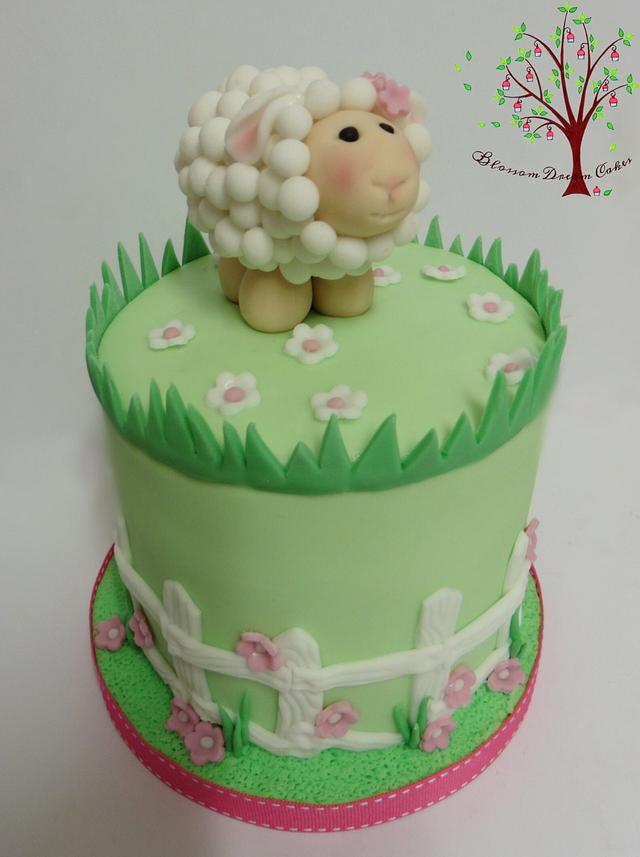 Baaaa little lamb - Decorated Cake by Blossom Dream Cakes - CakesDecor