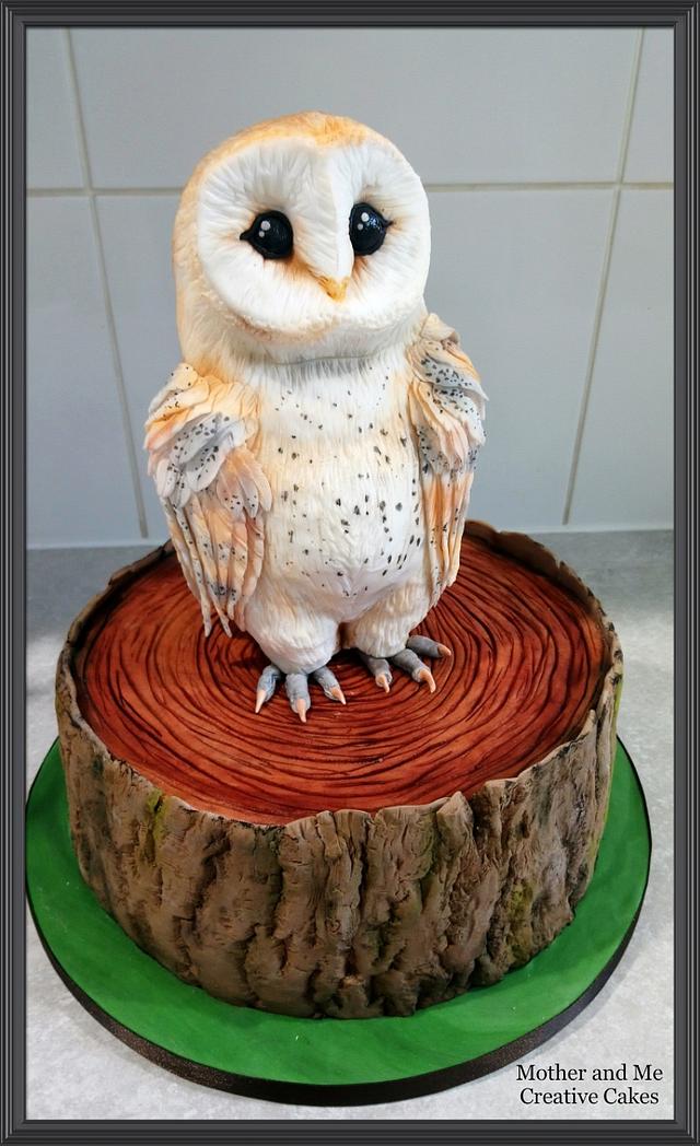 Owl Cake - Decorated Cake by Mother and Me Creative Cakes - CakesDecor