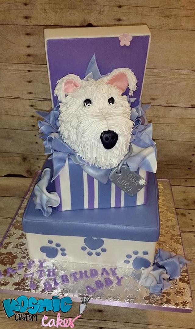 Mini Schnauzer - Cake by Kosmic Custom Cakes - CakesDecor