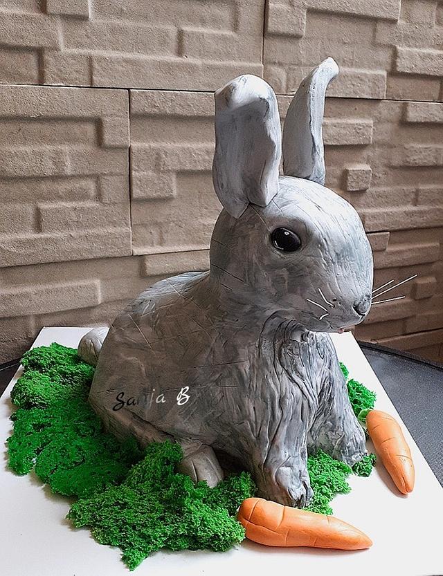 rabbit cake - Decorated Cake by Sanja - CakesDecor