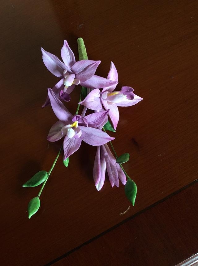 Spathoglottis orchid arrangement.