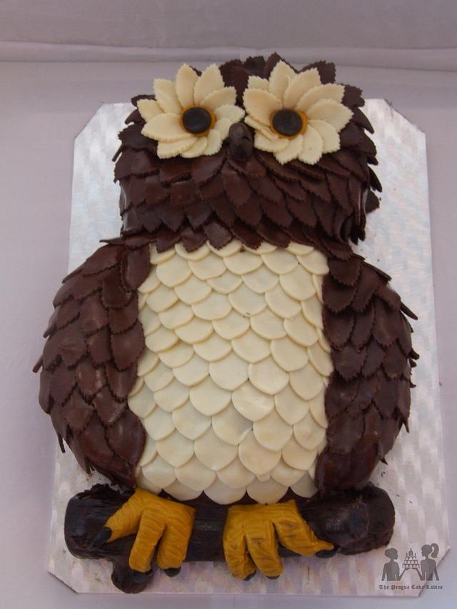 Chocolate owl cake Cake by The Prague Cake Ladies