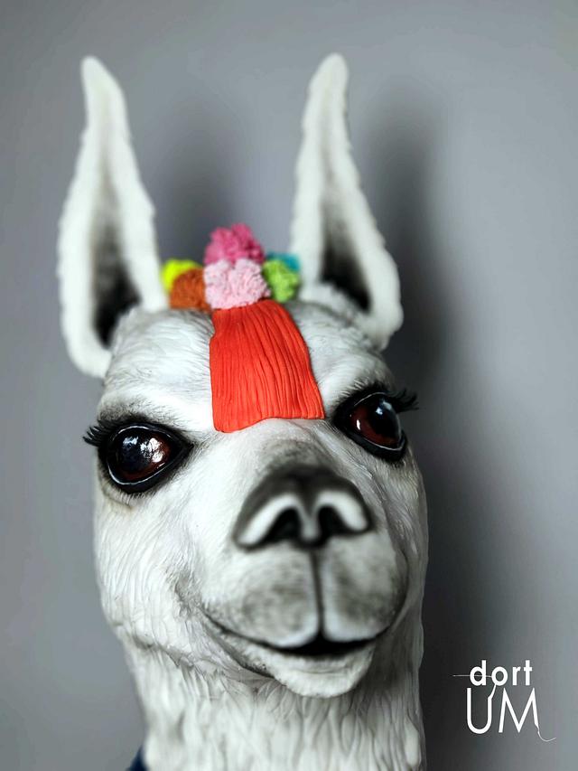 Mexican Llama Decorated Cake By Dortum Cakesdecor