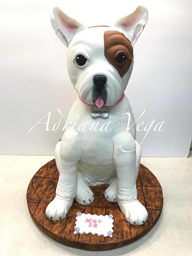 The Dog - Decorated Cake by Adriana Vega - CakesDecor