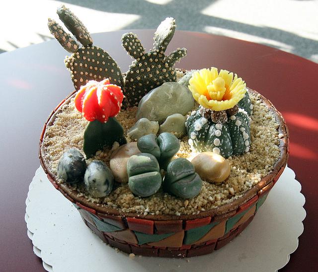 Pot with cactus