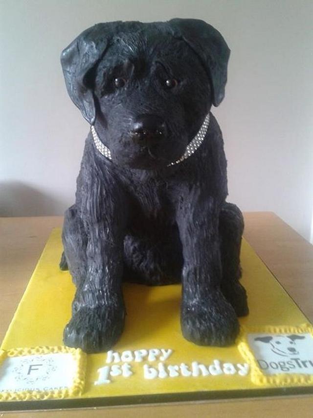 Lifesize Labrador Puppy Cake - Cake by Sweet Foxylicious - CakesDecor