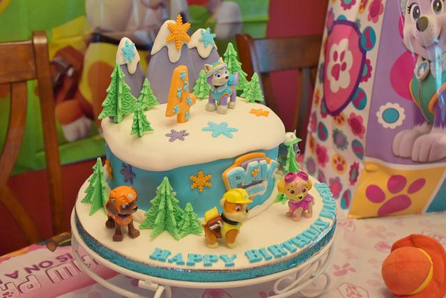Paw Patrol Cake featuring Everest!  