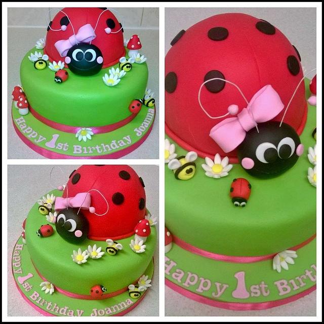 Lady bird birthday cake - Decorated Cake by T cAkEs - CakesDecor