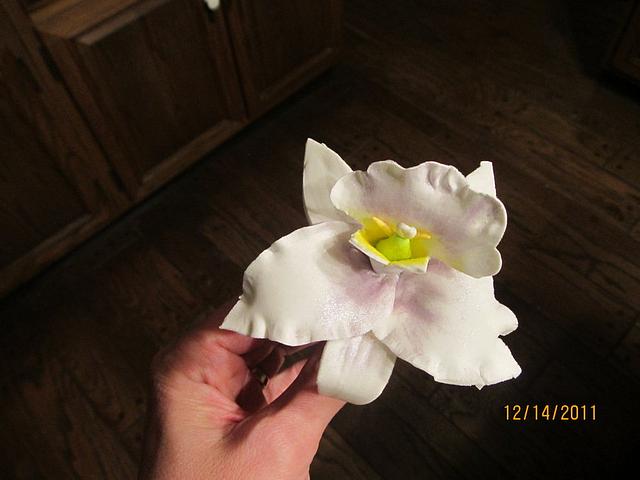 My first gumpaste Orchid