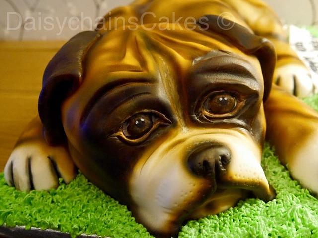 Boxer dog cake - Decorated Cake by Daisychain's Cakes - CakesDecor