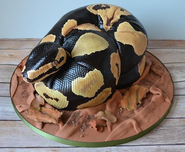 Royal Python Snake - Decorated Cake by AMAE - The Cake - CakesDecor