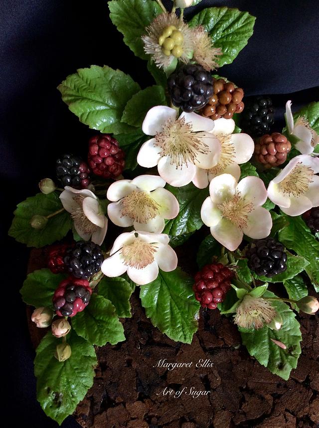 Metamorphosis Blackberries