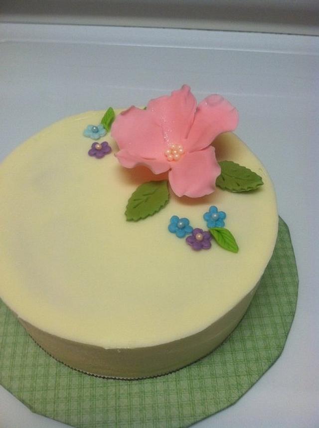 Taster cake Decorated Cake by Karen Seeley CakesDecor