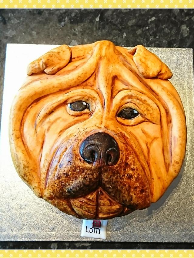 Chinese wrinkle dog cake - Decorated Cake by christine - CakesDecor