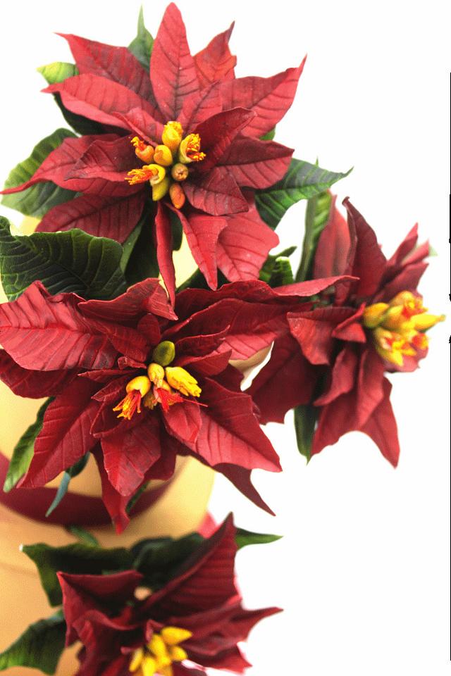 Red and gold poinsetias cake