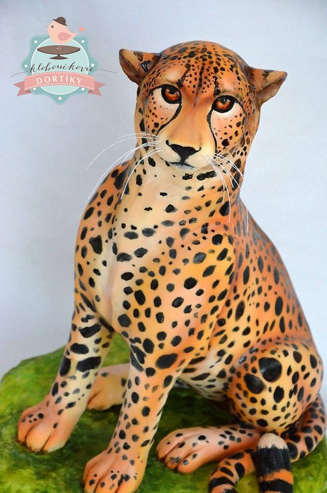 tutorial cheetah 3d