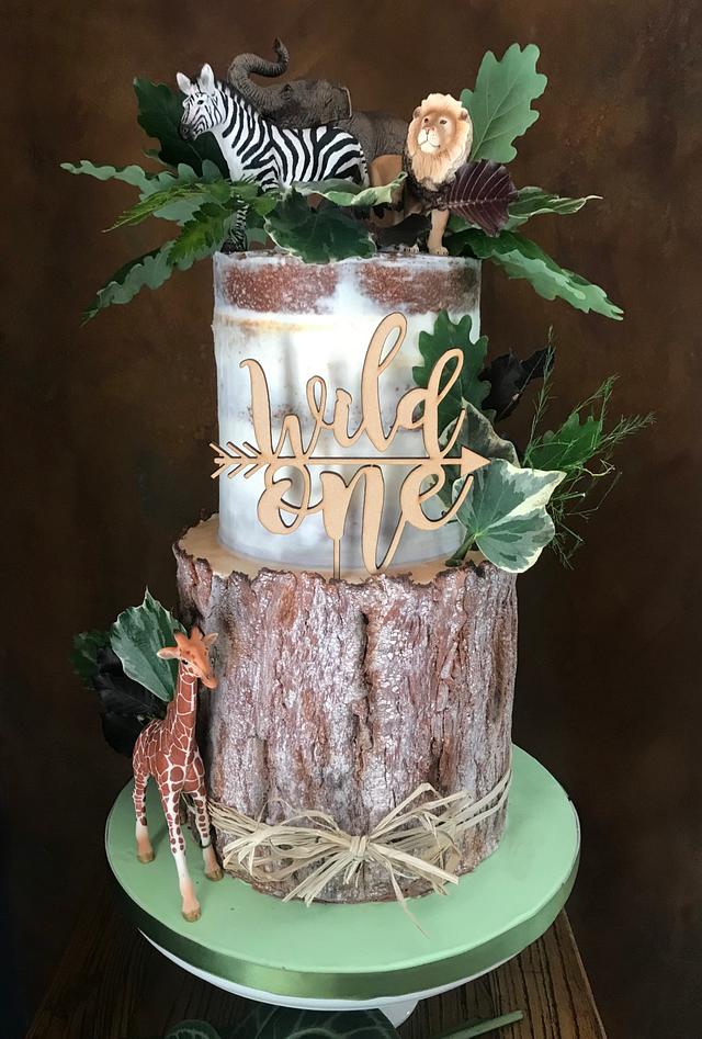 Wild One - Decorated Cake by The Noisy Cake Shop - CakesDecor