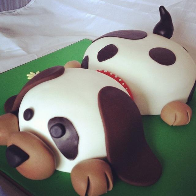 Dog cake Decorated Cake by Caked Goodness CakesDecor