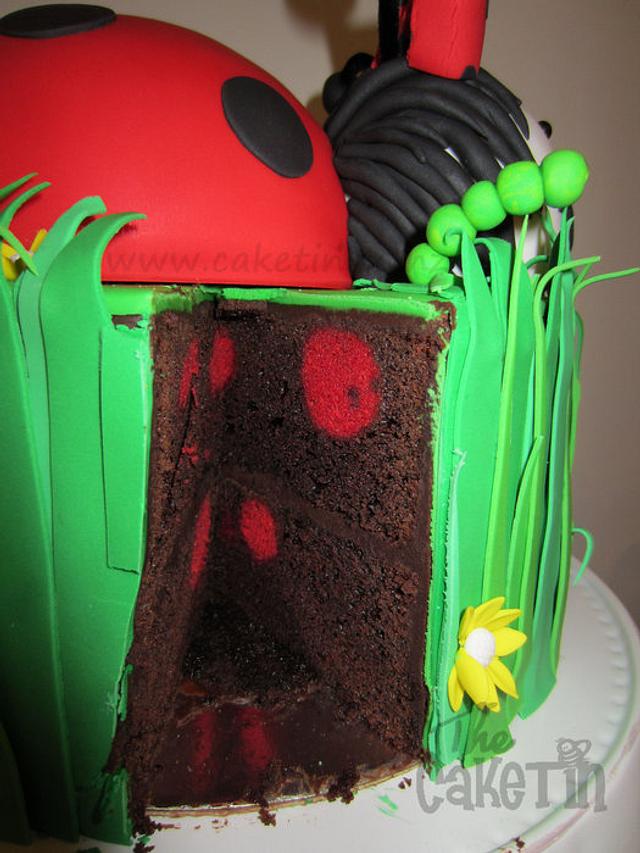 Ladybird Cake - Cake by The Cake Tin - CakesDecor