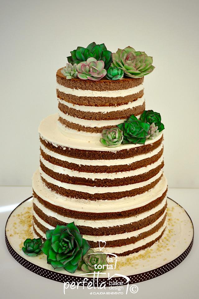 Succulent Naked Cake Decorated Cake By La Torta Cakesdecor