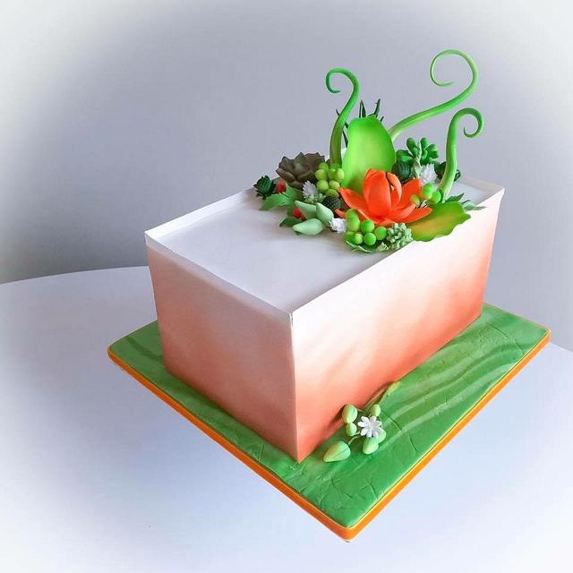 Succulent modern cake