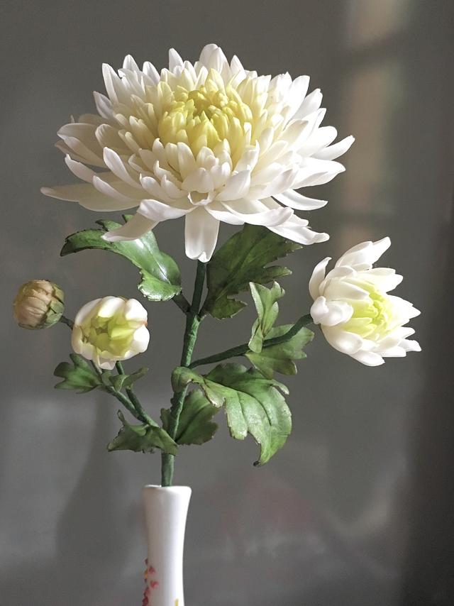 Japanese Chrysanthemum