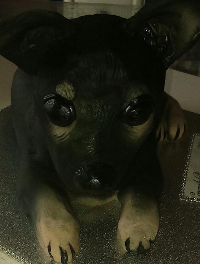 Chihuahua dog cake Cake by elaine CakesDecor