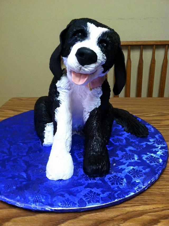 Zoey - Decorated Cake by Jeaniecakes - CakesDecor