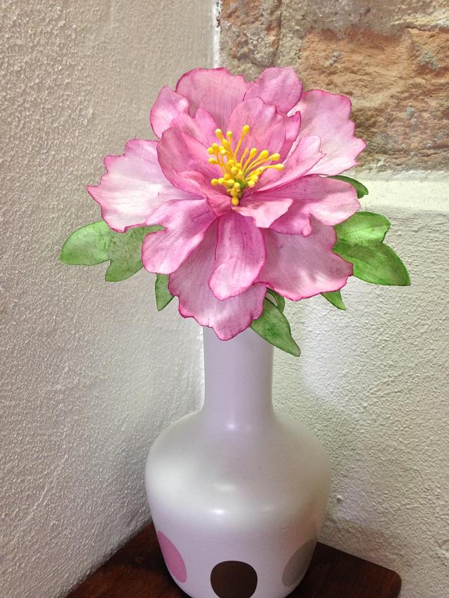 My peony in wafer paper... Cake by Piro Maria Cristina CakesDecor