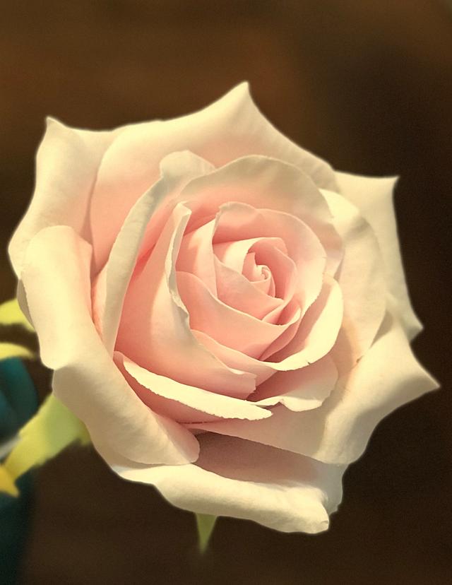 gumpaste roses 