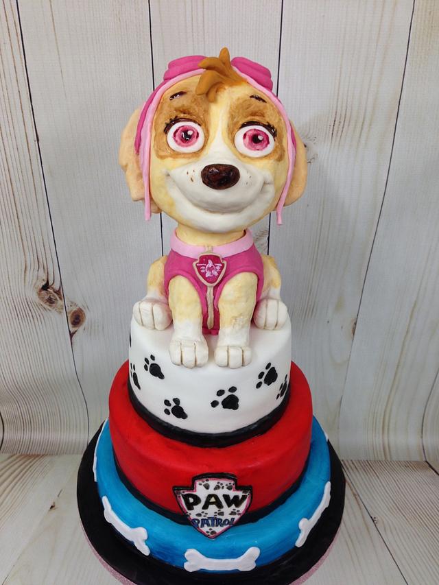 Paw Patrol - Decorated Cake by Possum (jules) - CakesDecor