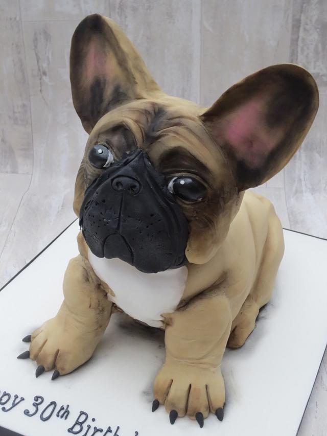 3d shop dog cake