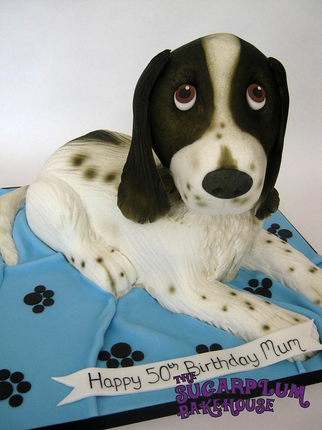 Spaniel store birthday cake