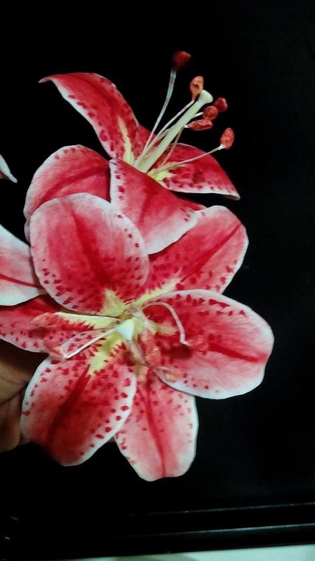 Starglazer Lilies