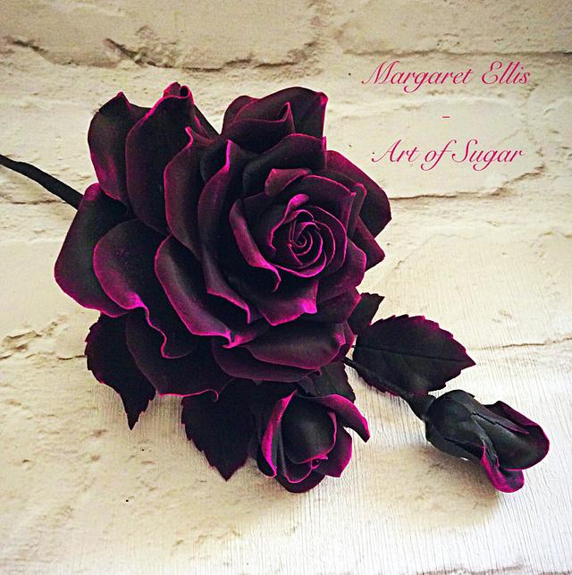 'Black Rose'