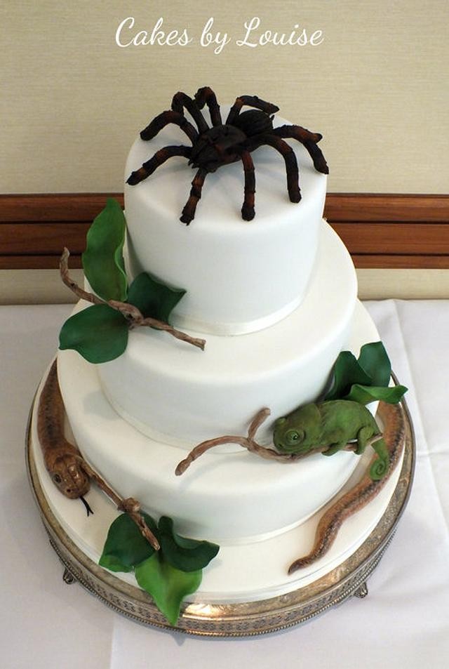Spider Theme Halloween Cake - Gift Dubai Online