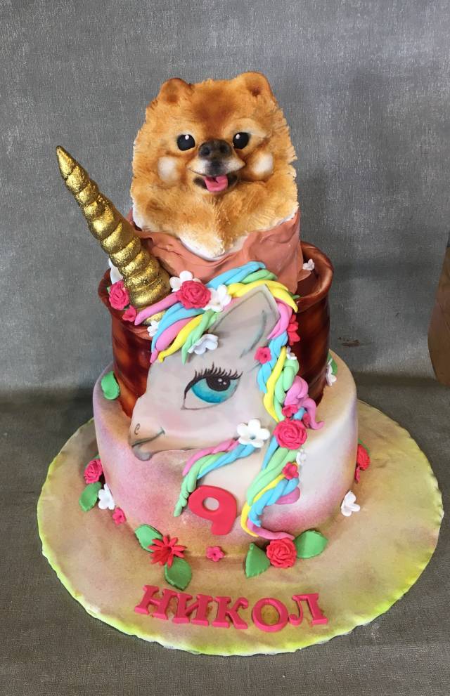 5 Essentials For an Instagram worthy Dog Birthday| Dog Birthday Cakes –  PatchworkPet