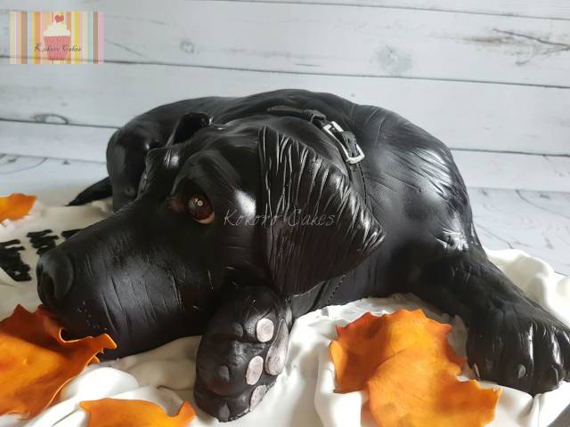 black labrador cake