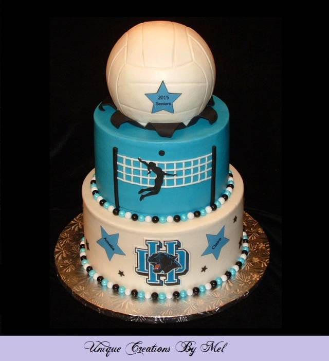 Volleyball Cake - 1103 – Cakes and Memories Bakeshop