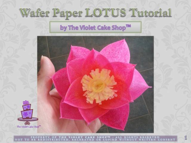 Wafer Paper Flowers: How to Make and Store Them [+Tutorials