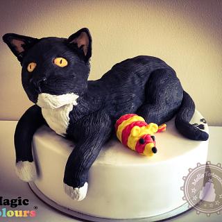 Cake Catcake Cakesdecor