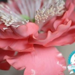 Rachel Taylor (Peony Pantry Cakes)