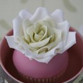 Amanda’s Little Cake Boutique