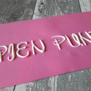 Pien Punt