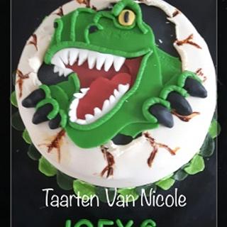 taarten Van Nicole